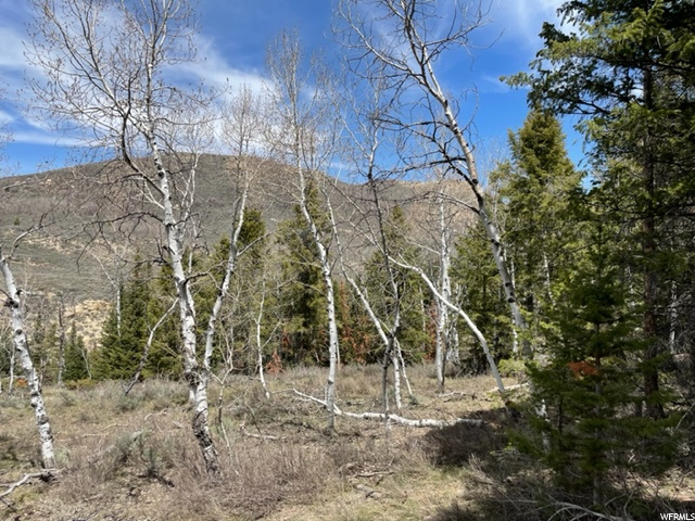 #9, Heber City, UT 84032 — photo 12