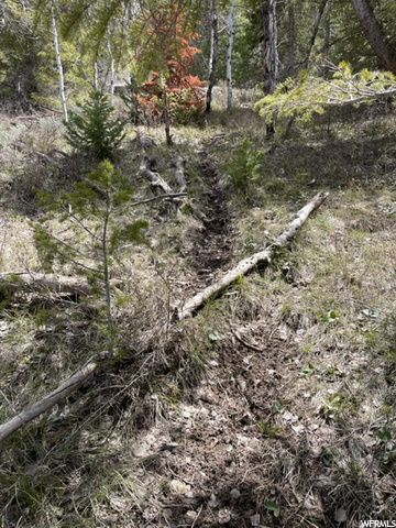 #9, Heber City, UT 84032 — photo 10