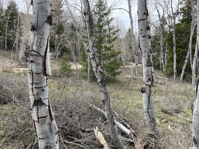 #9, Heber City, UT 84032 — photo 9