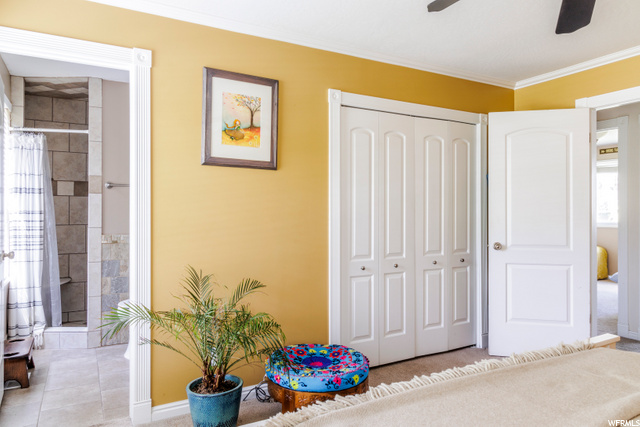 2073 E 10095 S, Sandy, UT 84092 — photo 12