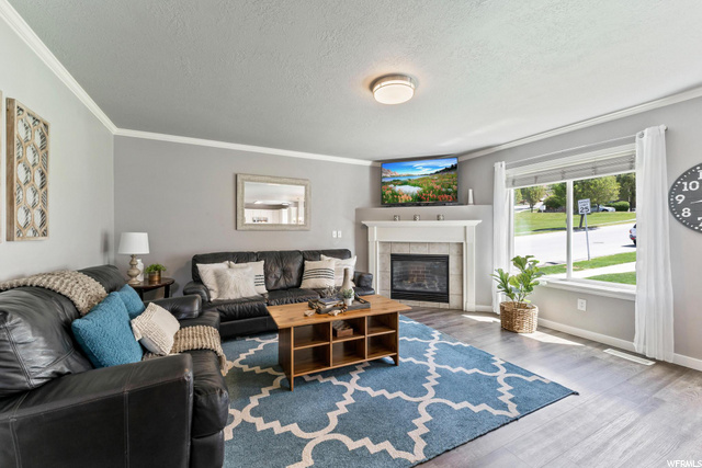 Main Floor Living Room