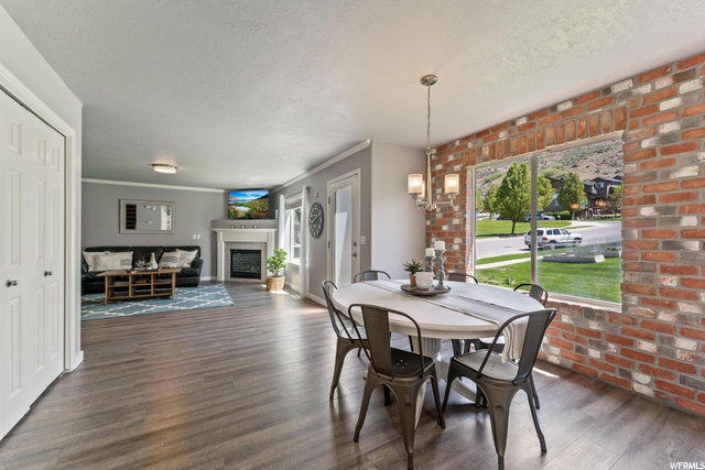 View From Kitchen