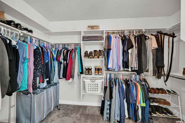 Primary Bedroom Walk-In Closet