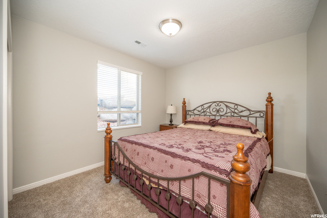 Lower Level Bedroom (5th Bedroom)