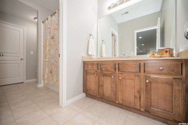 Lower Level Bathroom