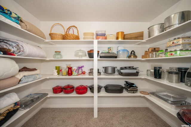 Lower Level Family Room Storage Closet