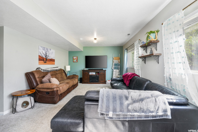 Cozy Family room