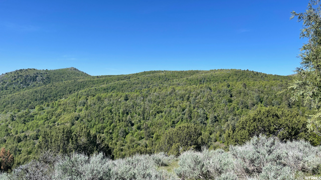 #7, Preston, ID 83263 — photo 3