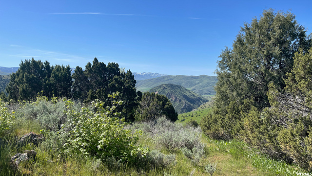#7, Preston, ID 83263 — photo 2