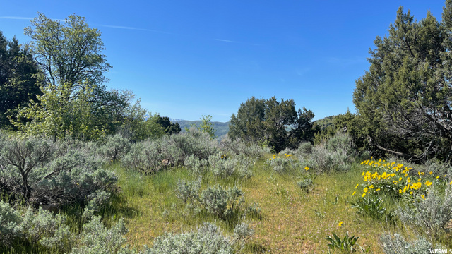 #7, Preston, ID 83263 — photo 4