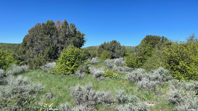 #7, Preston, ID 83263 — photo 6