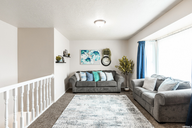 Abundance of Natural Light