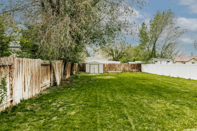 Huge Backyard