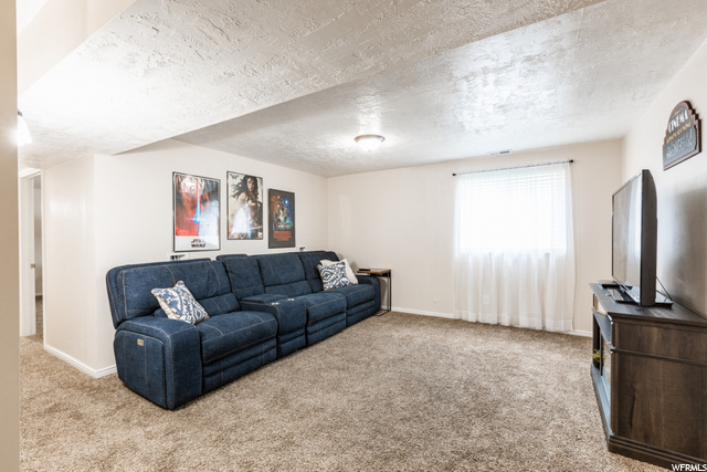 Family Room - Basement