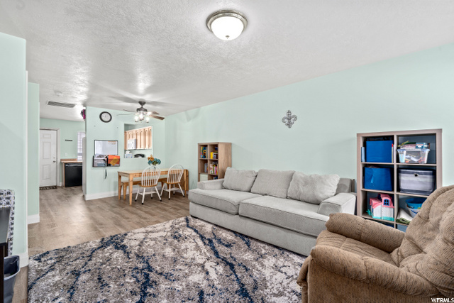 Enter to Living Room