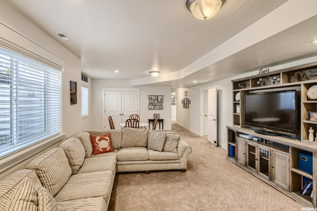 Basement family room