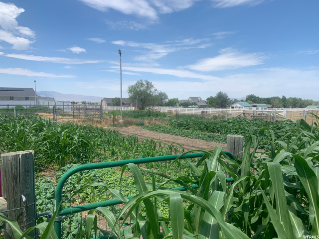 2021 Garden