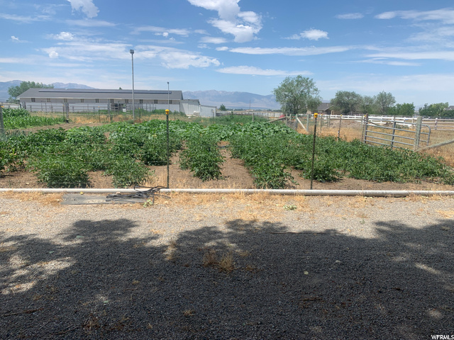 2021 Garden