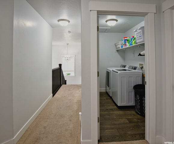 Laundry Room/Hallway
