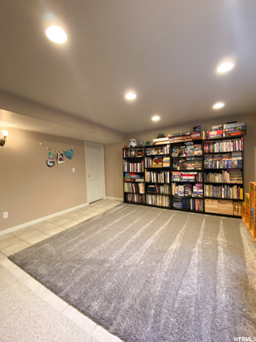 Basement Playroom