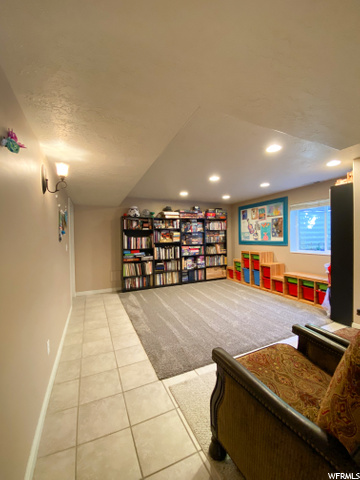 Basement Playroom