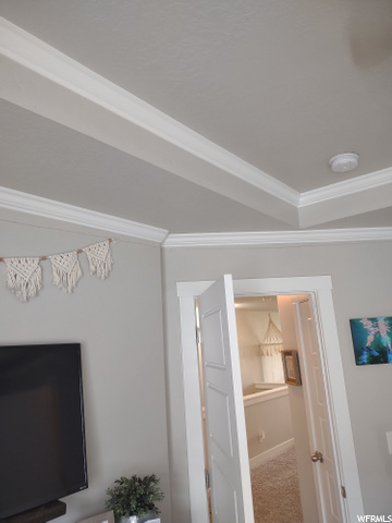 master ceiling
