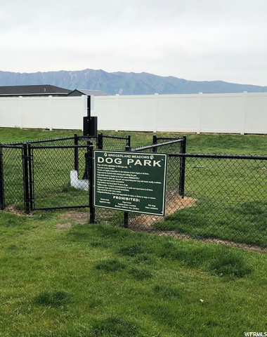 Dog park