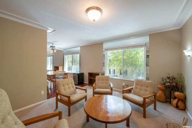 Dining Room/Sitting Room Could Be Third Bedroom