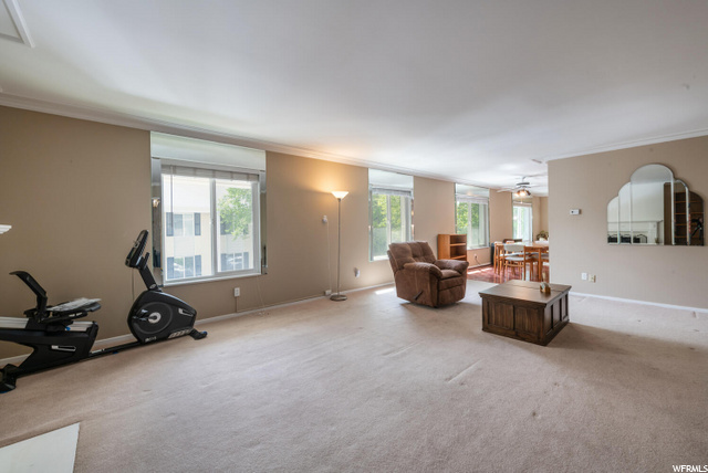 Living Room into Kitchen