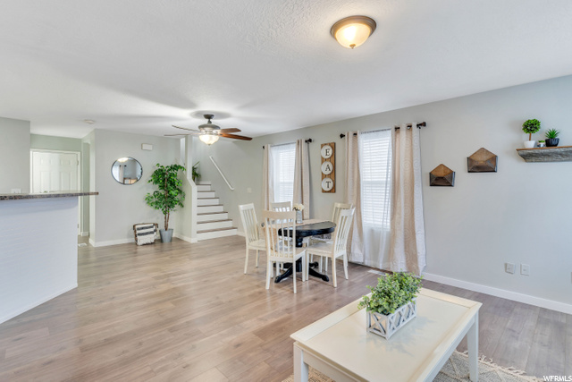 Living and Dining area