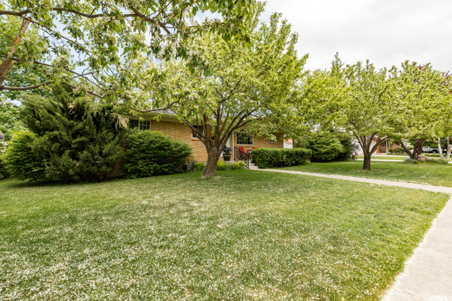 1097 E Thrushwood Drive, Logan, UT 84321 — photo 3