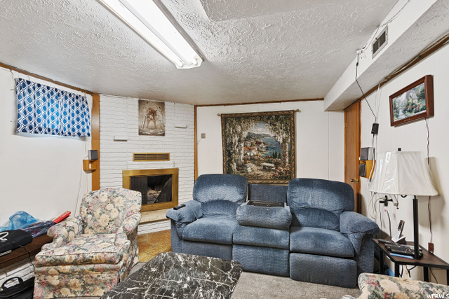 Basement Family Room w/ Fireplace
