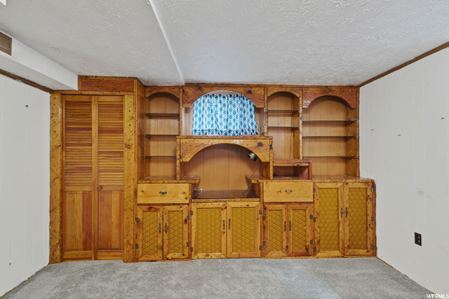 Built in Shelves - Basement