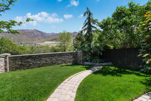 Main backyard