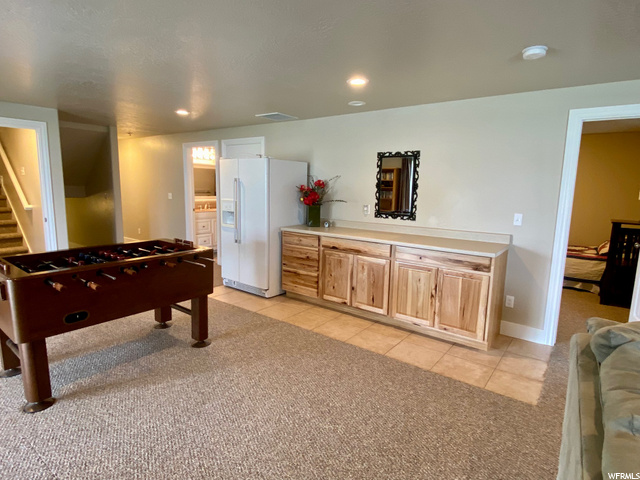Lower floor Family Room