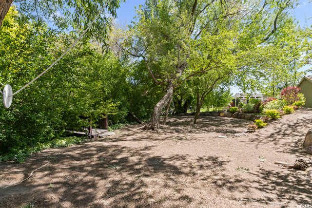 Backyard play area