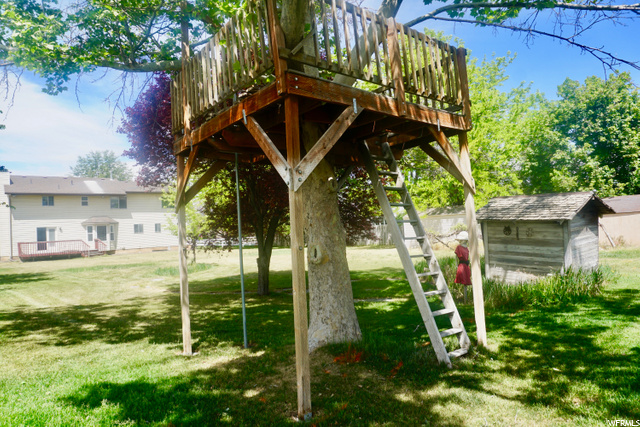Backyard Tree house