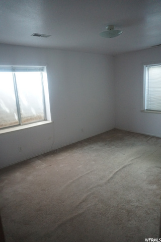 Basement Bedroom