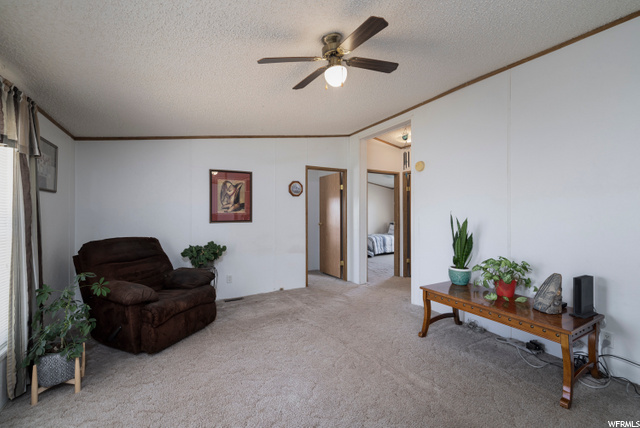 9080 E Buckskin Rd, Jensen, UT 84035 — photo 11