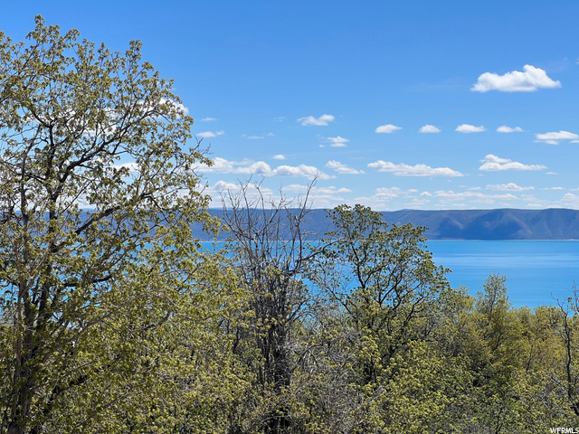 47 Juniper Dr, Fish Haven, ID 83287 — photo 5