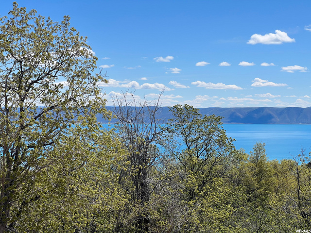 47 Juniper Dr, Fish Haven, ID 83287 — photo 4