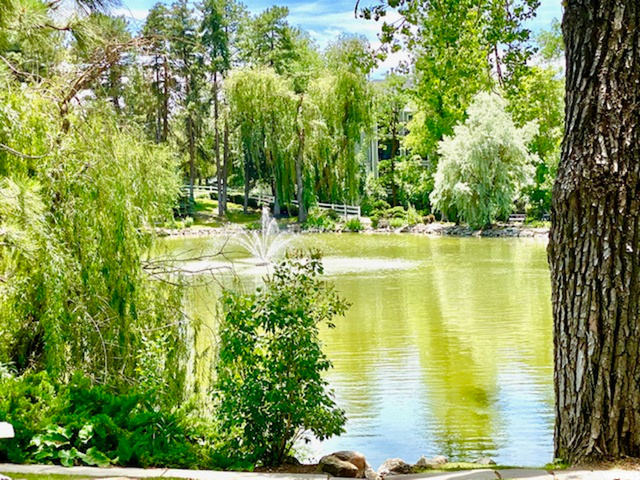 Relaxing, Serene & Walkable