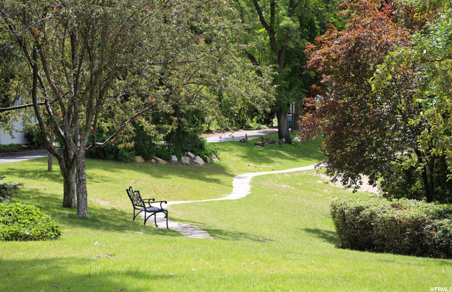 Private Walk or w/ Friends, You Choose