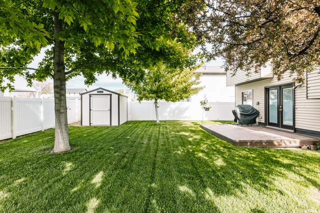 Back Yard Looking East
