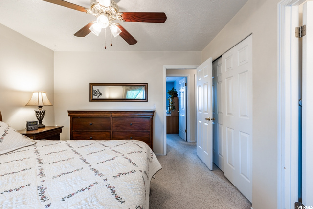 Master Bedroom Looking South