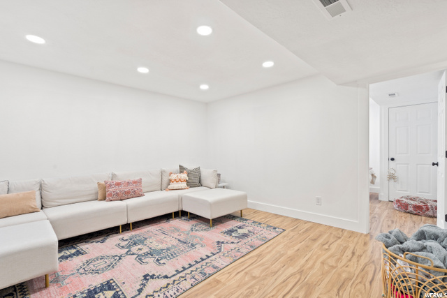 Basement Living Area
