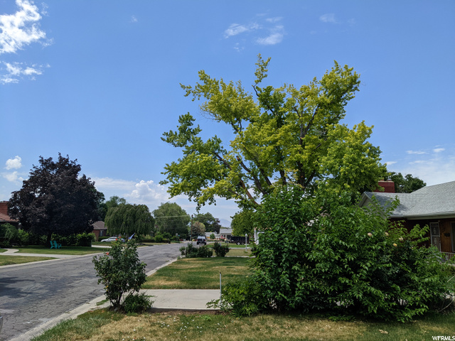 View to the west