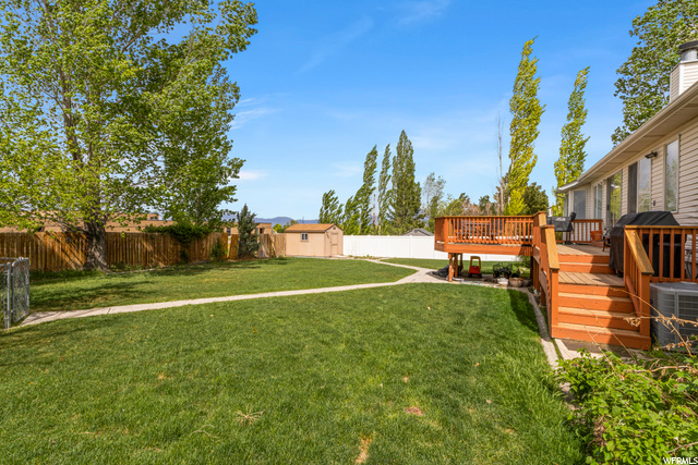 Backyard(2)