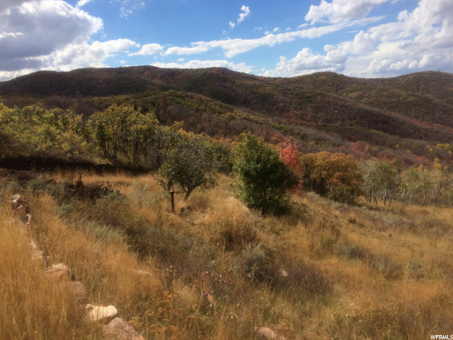 10976 Skyline Rd #202, Echo, UT 84024 — photo 5