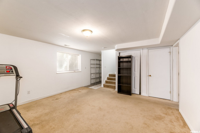 Basement Living Room